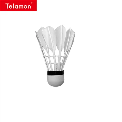 Sulkapallo sisätiloissa